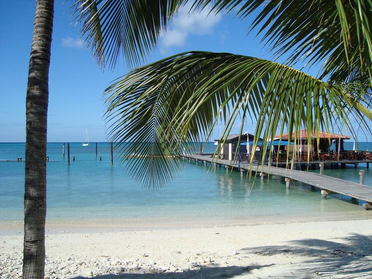 aruba, island, the island of aruba-2420366.jpg