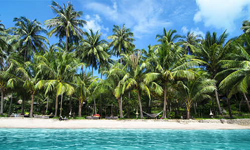 Visitez la Jamaïque